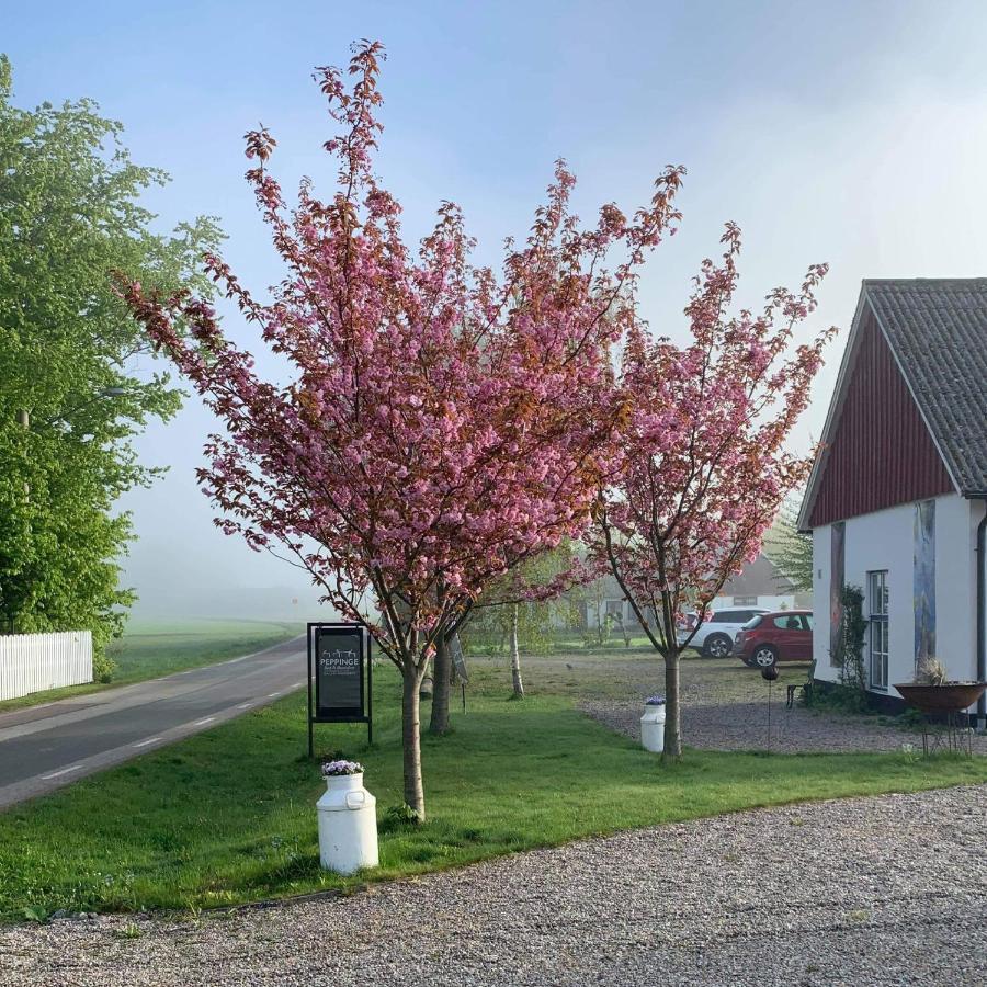 Peppinge Bed & Breakfast Loderup Exterior photo